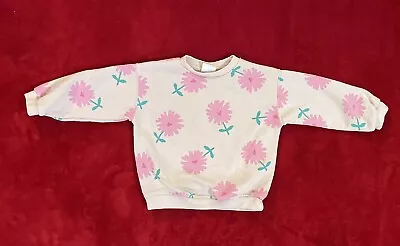 Zara Baby Girl's Long Sleeve Floral Pattern Pink Pullover Sweatshirt Sz: 12-18M • $12