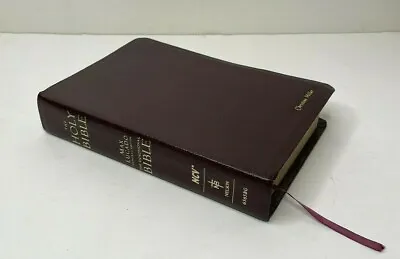 Max Lucado The Holy Bible NCV Devotional Bible Burgundy Bonded Leather • $74.88