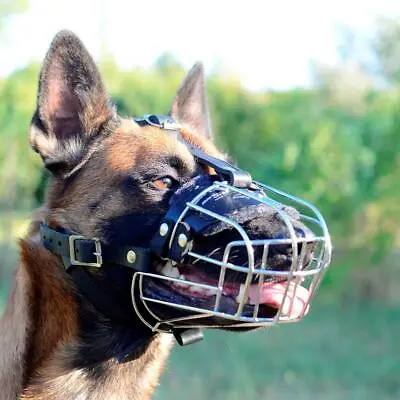 £55.08 • Buy Belgian Malinois Shepherd Dog Muzzle Wire Cage Soft Padded Basket Medium Large