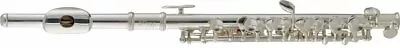 Stagg C Piccolo Flute - Offset G W/ Split E Mechanism & Soft Case - WS-PF211S • $249.99