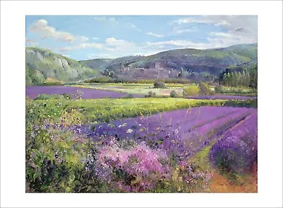 Easton Lavender Fields Fine Art Print Poster Gallery Wall Art + BORDER • £20