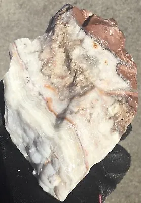 Laguna Lace Agate Rough Botryoidal Mexican Crazy Lace 1 Lb 5.1 Oz Lapidary • $10.50