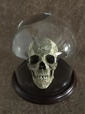 Dome Combo Real Human Skull RESIN REPLICA SIGNED Templar Knight Mason Zane Wylie • $359