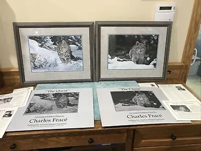 Charles Frace Artist Signed BOBCAT LYNX THE CHASE QUEST Framed Matted Pair Print • $314.99