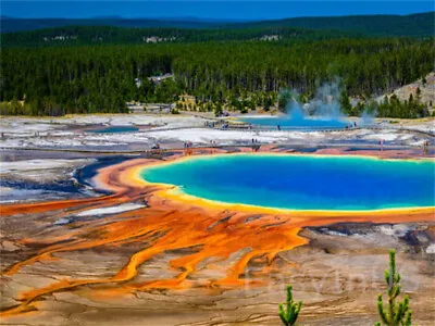 Seattle – Missoula – Yellowstone – Grand Teton 5-Day Tour • $2335