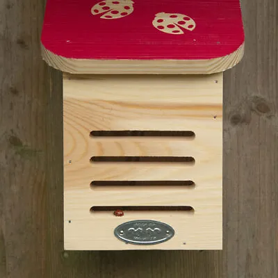 Live Ladybird Lodge Option To Include Live Ladybirds Or Larvae Or Ladybird Token • £18.99