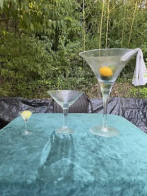 Jumbo Martini Glass And Set • $100