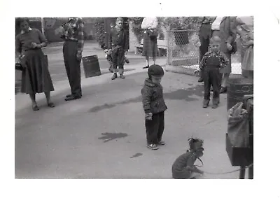 Boys Watching Performing Monkey & Organ Grinder On Street 1950s Found Photo • $13.49