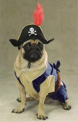 Zack & Zoey Pirate Pup Dog Halloween Costume XS Pet • $17.69