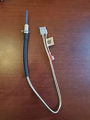 OEM Igniter 9008288005  A.O. Smith Water Heater Igniter Replaced By (100112679) • $129