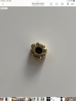 $220 • Buy Genuine Pandora Charms Gold