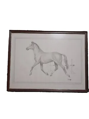 Vintage C.Varley Pencil Drawing Horse Print • £14