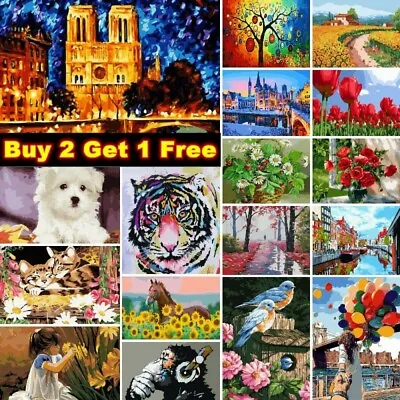 £9.99 • Buy DIY Oil Painting By Numbers Kit Paint On Canvas For Adult Kid Beginner Frameless
