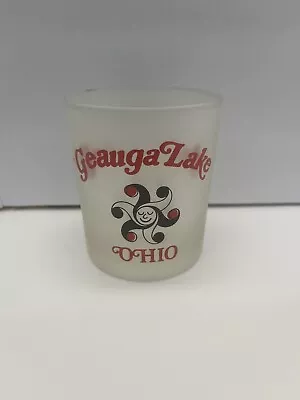 Geauga Lake Glass Mug Big Dipper Gold Rush Ohio Frosted Glass • $49.99