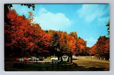 Mt. Jewett PA-Pennsylvania Rest Seneca Highlands 50's Cars Vintage Postcard • $7.99