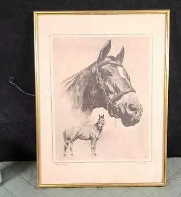 R. H. PALENSKE ART PRINT Famous HORSE RACE WINNER MAN O' WAR • $99.95