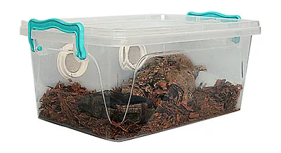 Invertebrate Enclosure - Suitable For TarantulasScorpionsFruit Beetles Etc  • £28.30