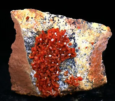 2.25  Superb Red Vanadinite Crystals On Matrix  Morocco! ! V294 • $40