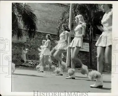 1966 Press Photo Majorettes From Naples Senior High Perform During Parade • $15.88