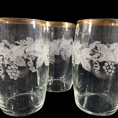 Vintage Bartlett Collins Etched Grapevine Gold Trim Set Of 3 Juice Glasses • $12.95