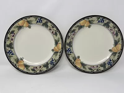 Lot Of 2 Mikasa Intaglio Garden Harvest 8.5  Salad  Plates EUC Stoneware Snack • $23.94