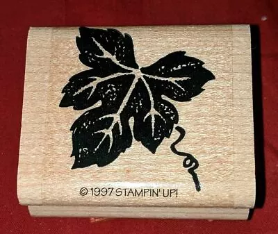 Stampin Up Maple Plant Tree Leaf Fabulous Fruits Wood Mounted Rubber Stamp 1997 • $4