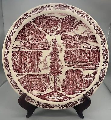 Vernon Kilns State Plate - Along 101 The Redwood Highway - 10.5  Collector Plate • $27.50