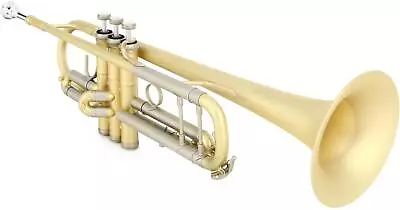 B&S 3178 Challenger II Custom Bb Trumpet - Elaboration Finish • $4523