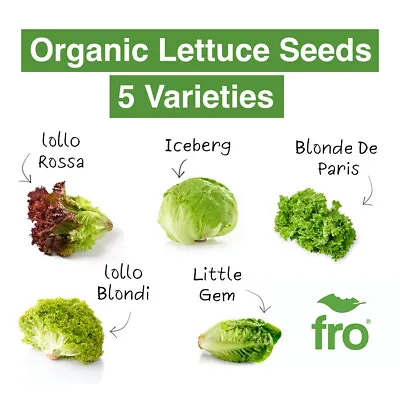 Organic Lettuce Seeds - 5 Variety - Seeds - Non-gmo - Fast Uk Dispatch ✅ • £2.25