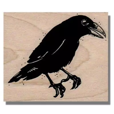 NEW Mounted Rubber Stamp Bird Raven Crow Birds Crows Halloween Stamp Poe • $9.75