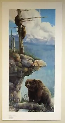 Mario Fernandez Balance Of Nature Limited Edition Print 1989 Brown Bears • $49.80