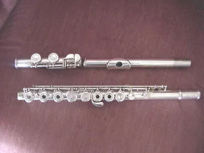 Open-hole Flute Re-pad - C Or B Foot - Major Brands • $109.95