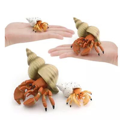 Ocean Animal Nautilus Figure Hermit Crab Model Collector Ornaments Kids Toy Gift • $15.39