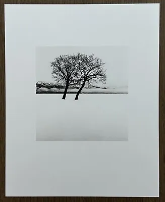 RARE! Michael Kenna - Dancing Trees 2020  Original Collotype Print Japan • $110