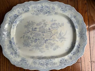 ANTIQUE WEDGWOOD ASIATIC PHEASANTS LARGE Blue White SERVING MEAT PLATTER 17.5” • $120