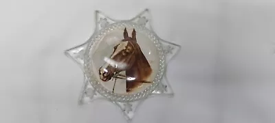 Vintage Dome Shaped 7 Point Glass Star Paperweight Photo Frame With Horse Photo • $32.50