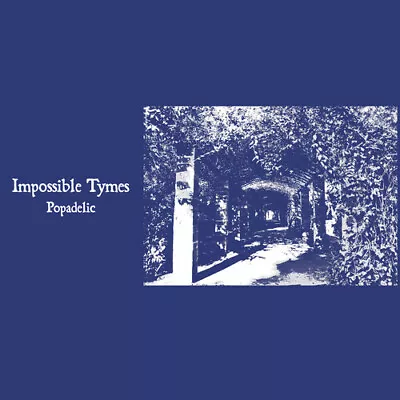 Impossible Tymes - Popadelic [New Vinyl LP] • $22.53