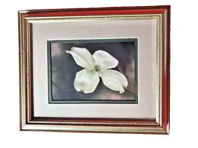 'Magnolia Bloom  Framed Art Gold Picture Frame Print Wall Art Black Background • $20