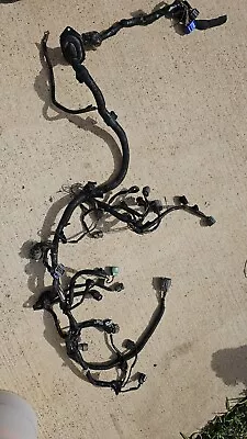 HONDA CIVIC SI Engine Harness 99-00 B16A2 EM1 • $420