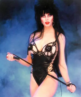 Elvira Mistress Of The Dark Sexy Celebrity Model Print 8.5x11 Photo 3333 • $5.09