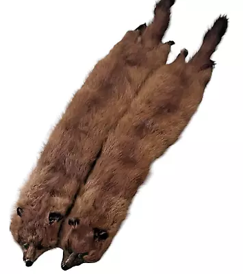 Lot 2 Authentic Mink Pelts Hides Full Body Fur Light Brown Eyes Feet 27-28  • $50