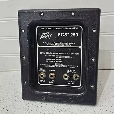 PEAVEY ECS 250 Equalized Crossover System VINTAGE 200/400 Watt Panel Amp Plug In • $45.38