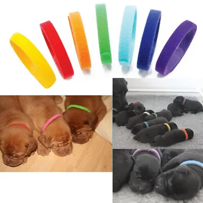 12 Colors Nylon Puppy Litter Identification Snap Collars ID Identification Bands • £3.76
