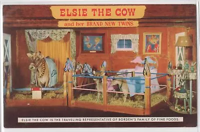 Elsie The Cow With New Twins Bordenʼs Dairy Mascot 1950ʼs Vintage Postcard • $4.50