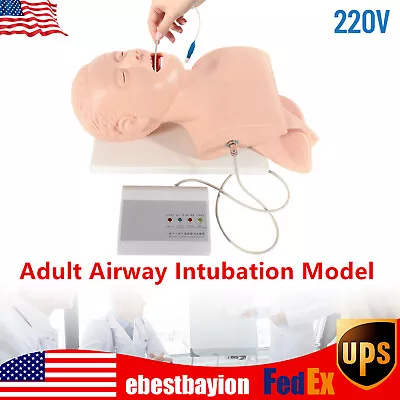 $208.05 • Buy Adult Airway Intubation Model Lab Oral Intubation Manikin Study Teaching 220V 