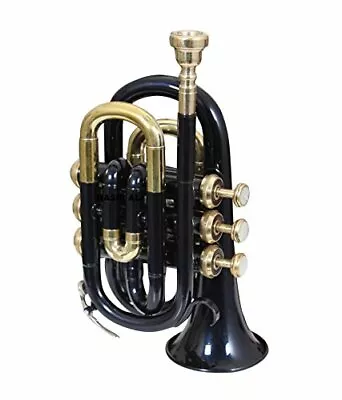 WINTER PRICE DEAL BLACK BRASS Bb POCKET TRUMPET+FREE HARD CASE+M/P MUSIC MINI • $141.45