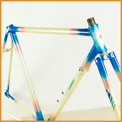 STEEL FRAME 51 53 VINTAGE OLD ROAD BIKE 60s BICYCLE CAMPAGNOLO 700C BIANCHI OLMO • $206.99