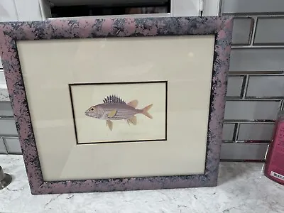Vintage Fish Print Matted And Framed Ready To Hang • $25