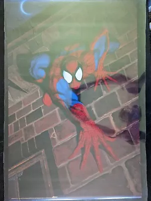 Vintage Poster Spiderman X #173 Daniel Horne Art Unused 1994 22x34 Marvel  • $39.99