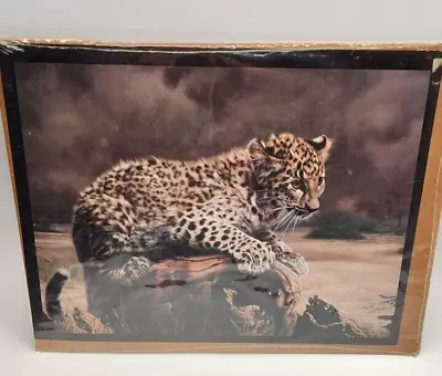 Charles Frace Art Print African Leopard Cub Cat Driftwood Scene Wild Animal • $16.50